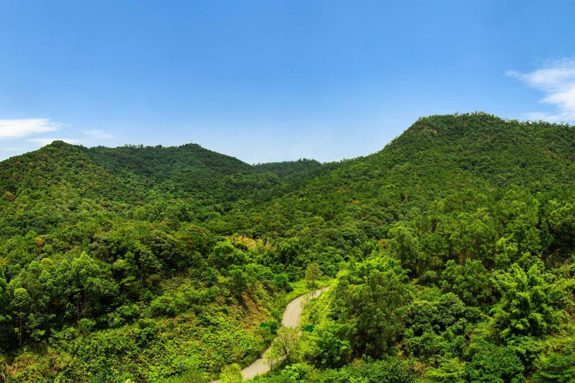 Four Points By Sheraton Guangdong, Heshan Heshan  Dış mekan fotoğraf